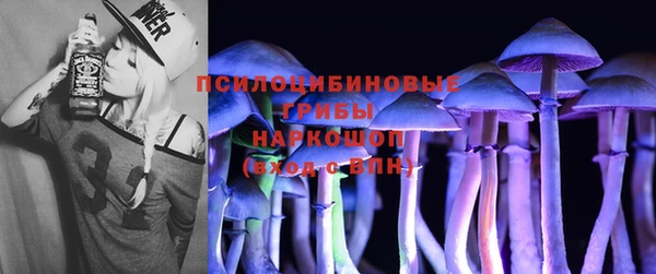 стафф Беломорск