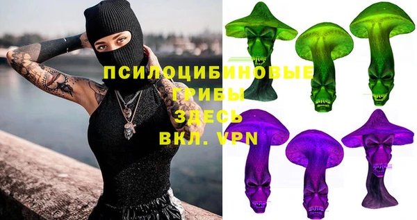 ALPHA PVP Белокуриха